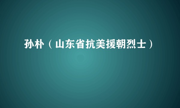 孙朴(山东省抗美援朝烈士)