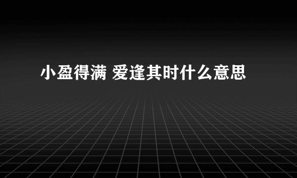 小盈得满 爱逢其时什么意思